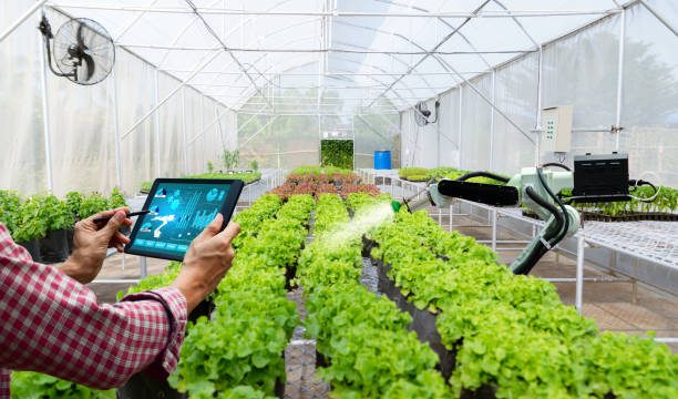 Expert Consultation on the Application of Artificial Intelligence in Precision Agriculture